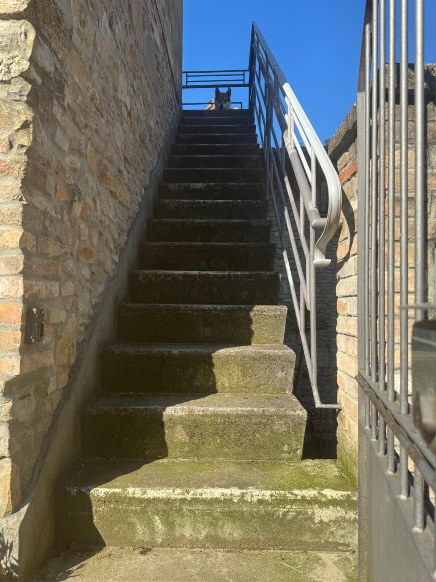 Apartment Residenza Grimerio Piano Primo Castell'Arquato